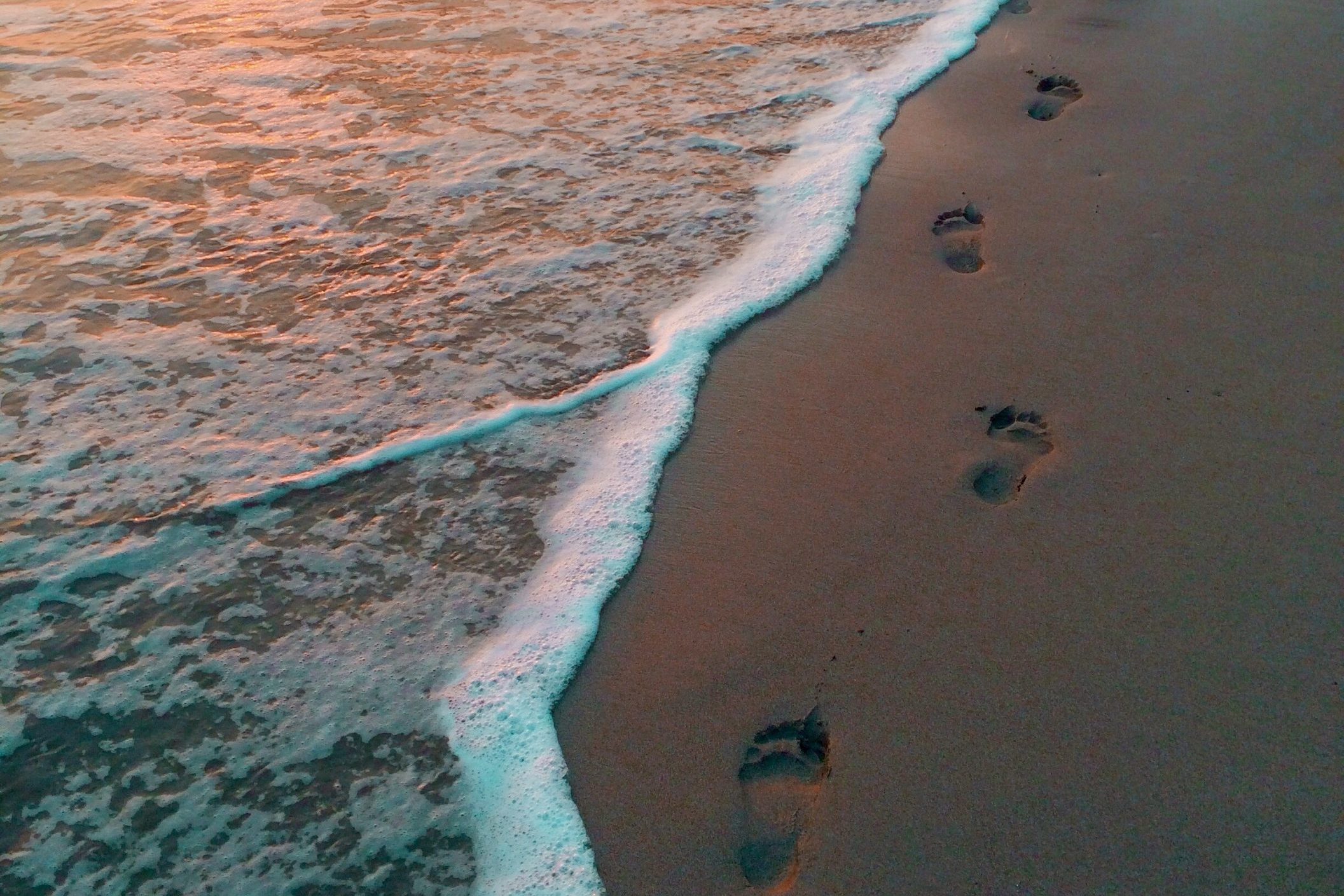 3 Key Strategies for Personal Wellbeing - Guest Blog: Dr. Chris Adams