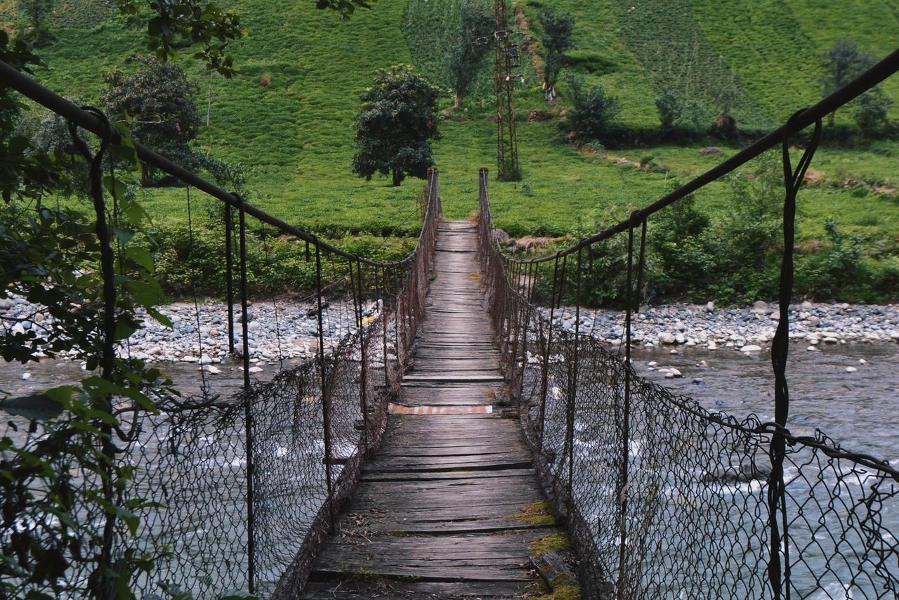 Building a Bridge of Trust