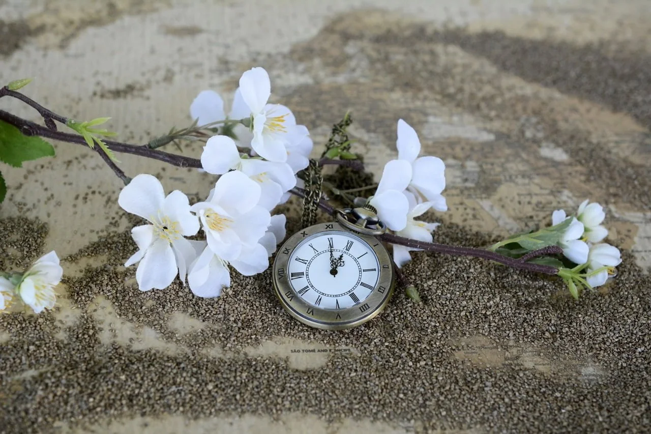 Featured image for “Non-Negotiables for a Christian Mentor: Mature Discipleship ”