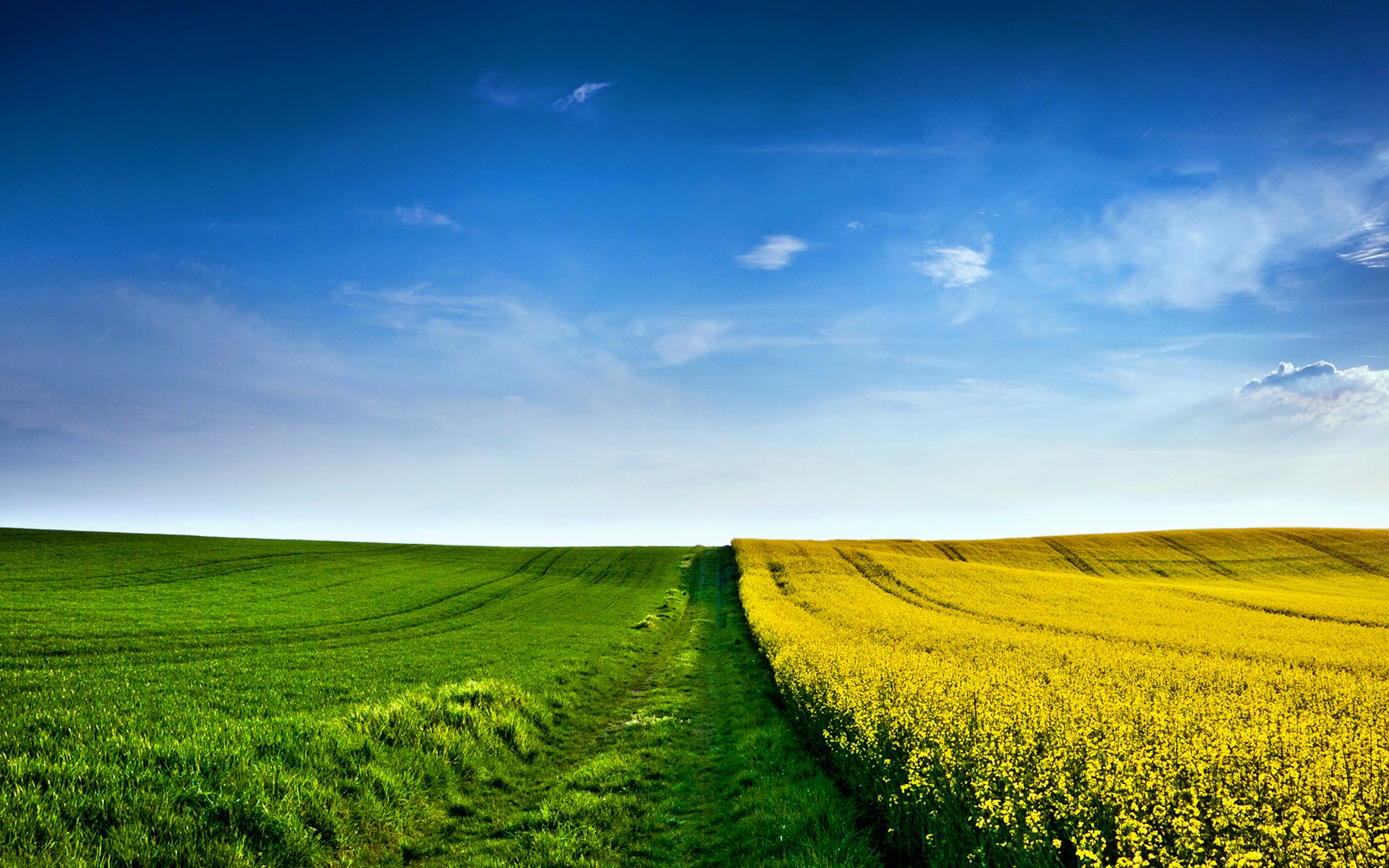 Featured image for “Finding Your Sustainable Pace: Work, Life and the Long Run”
