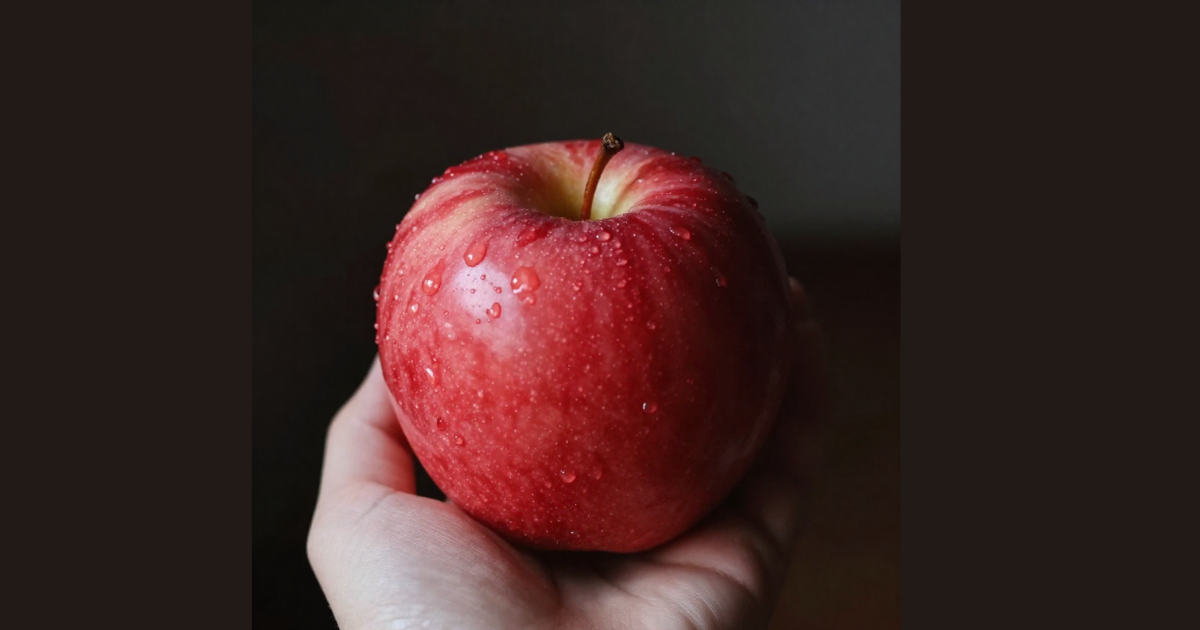 Featured image for “Aiding Transformation: Understanding Trials, Tests and Temptations”